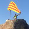 Diada de St. Gregori 2014