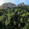 Teix del Ramer