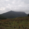 Cim del Montalt