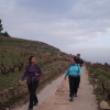 Cim del Montalt