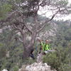 Cim del Montalt
