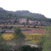 Cim del Montalt