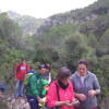 Teix del Ramer