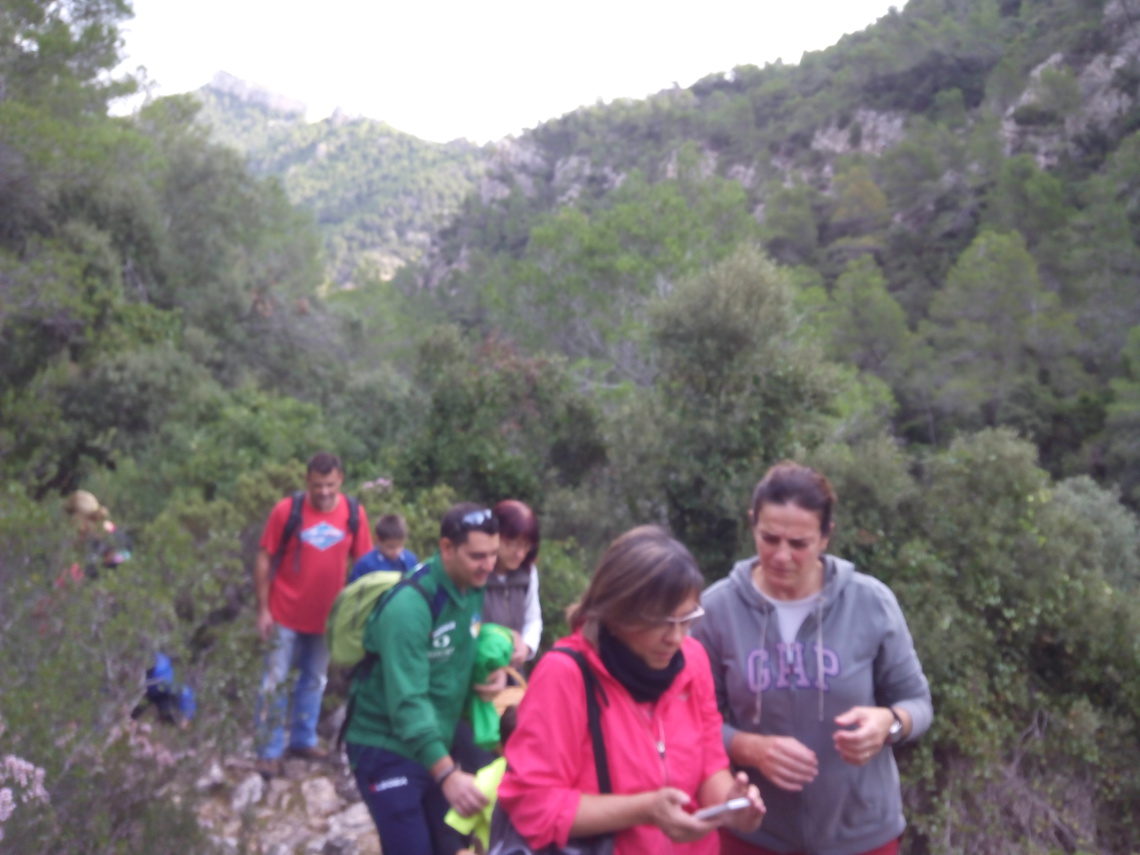Teix del Ramer