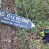 Teix del Ramer