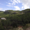Teix del Ramer