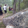 Teix del Ramer