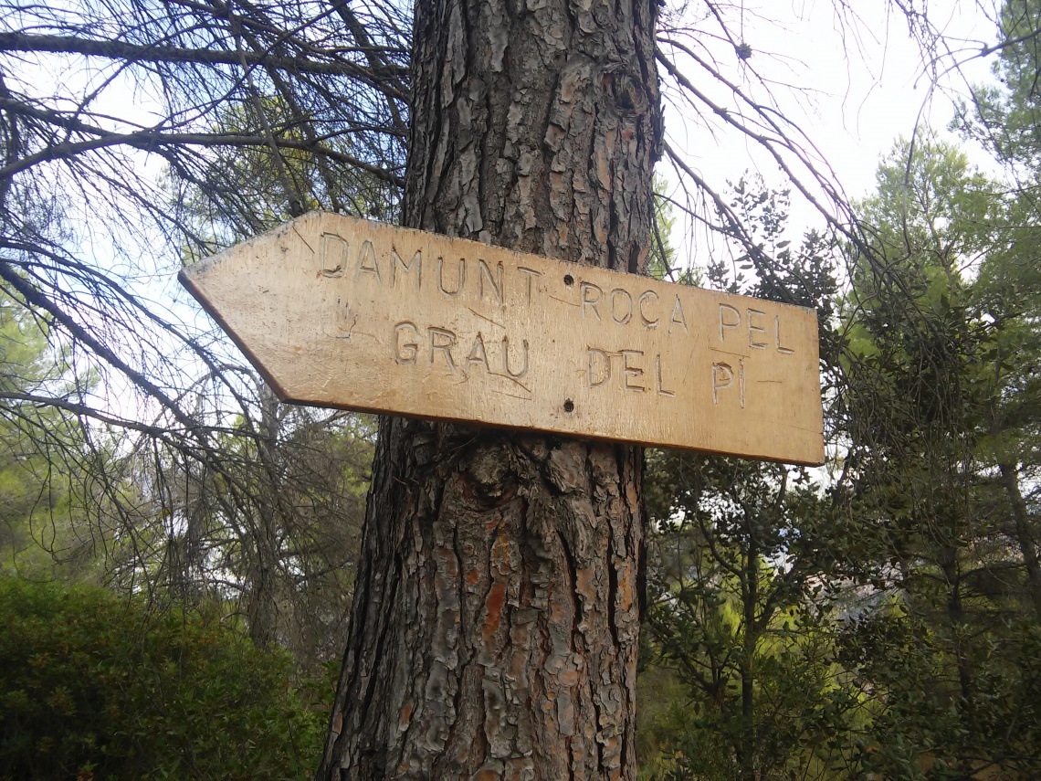 SORTIDA FAMILIAR GRAU DEL PI