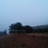 Els Corredors pel Montsant