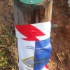 CAMINADA SOLIDÀRIA DE LA MARATÓ DE TV3