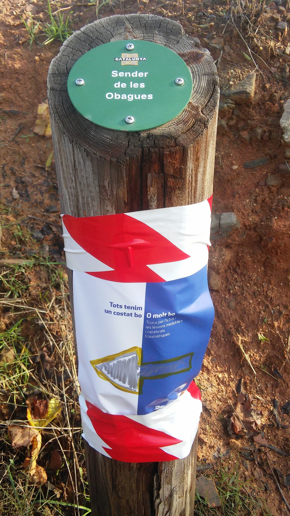 CAMINADA SOLIDÀRIA DE LA MARATÓ DE TV3