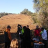 CAMINADA SOLIDÀRIA DE LA MARATÓ DE TV3