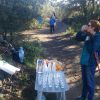 CAMINADA SOLIDÀRIA DE LA MARATÓ DE TV3