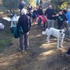 CAMINADA SOLIDÀRIA DE LA MARATÓ DE TV3