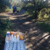 CAMINADA SOLIDÀRIA DE LA MARATÓ DE TV3