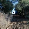 CAMINADA SOLIDÀRIA DE LA MARATÓ DE TV3
