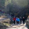 CAMINADA SOLIDÀRIA DE LA MARATÓ DE TV3
