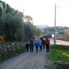 CAMINADA SOLIDÀRIA DE LA MARATÓ DE TV3