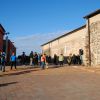 CAMINADA SOLIDÀRIA DE LA MARATÓ DE TV3