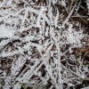 MONTSANT 31 DE DESEMBRE
