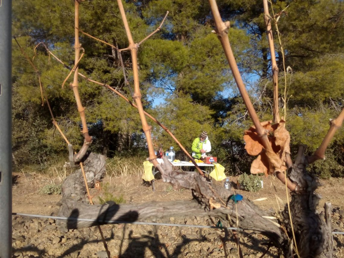 MARATÓ DE TV3 2017